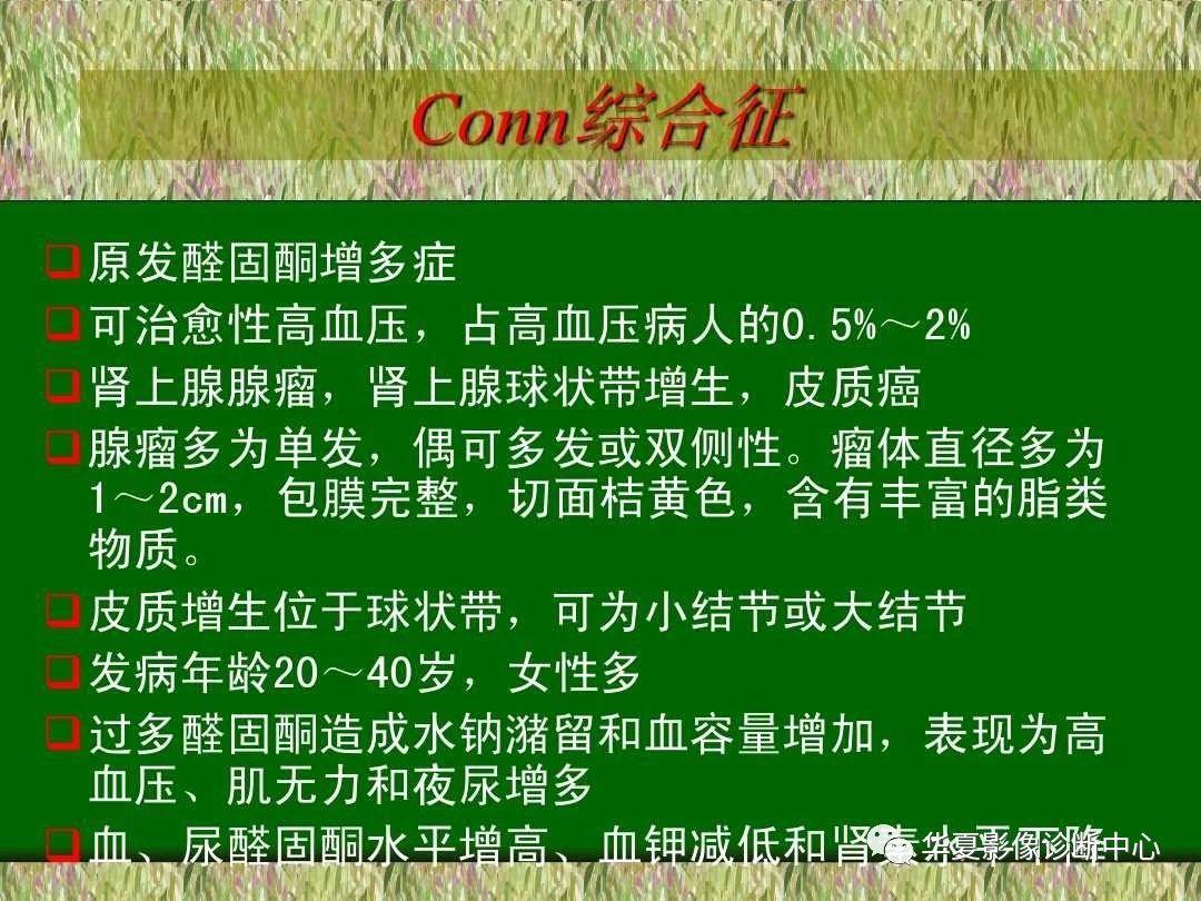 d19.jpg