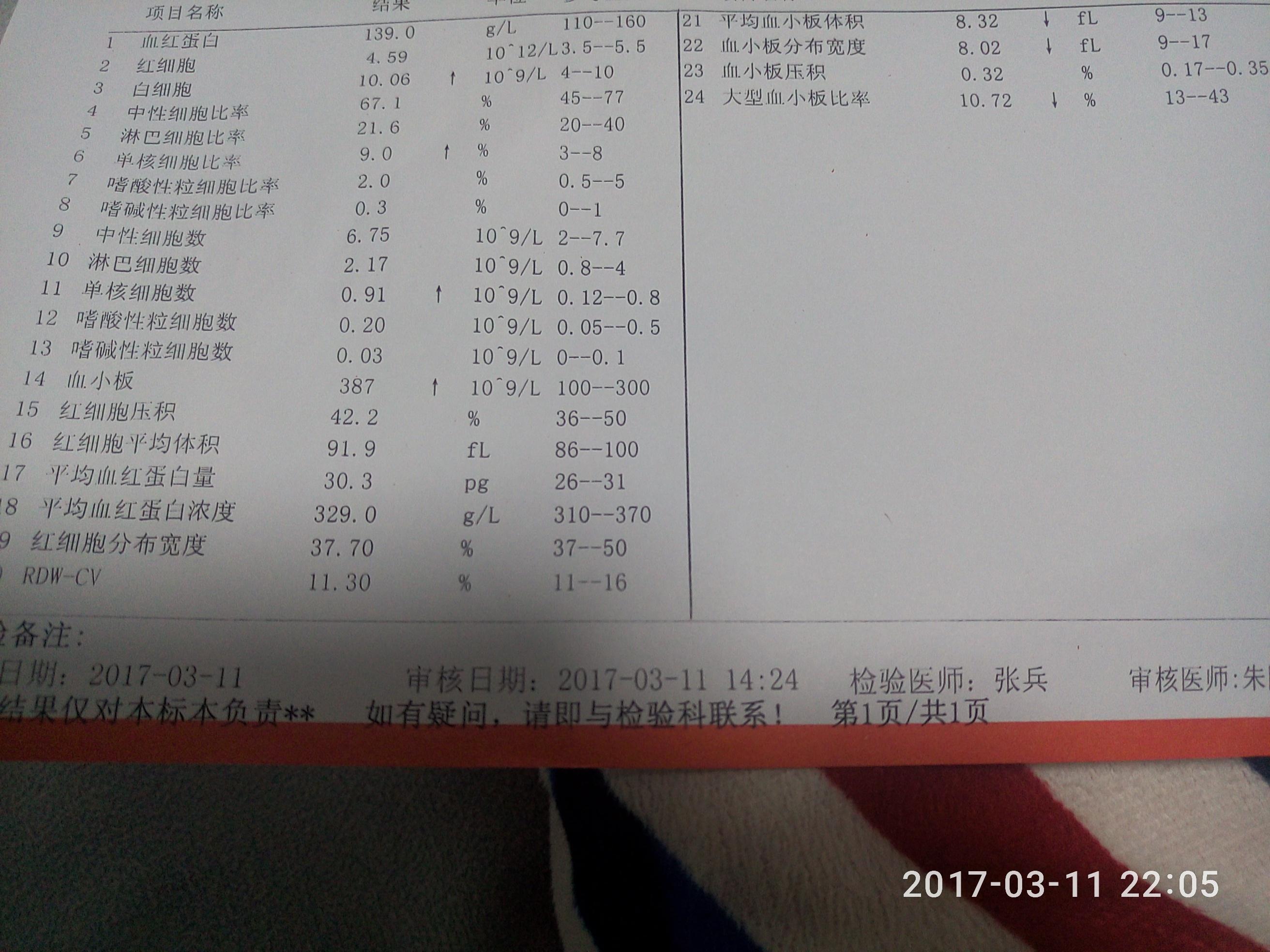 d1.jpg