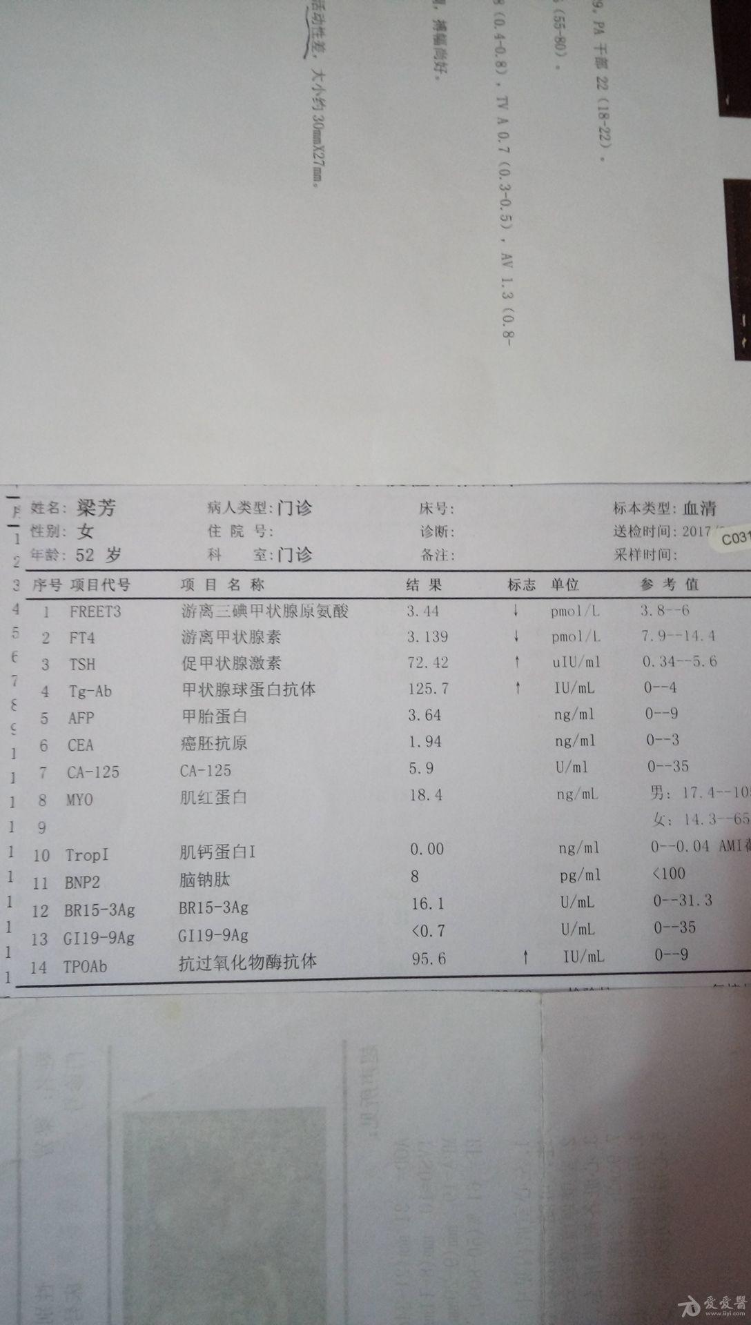 d8.jpg